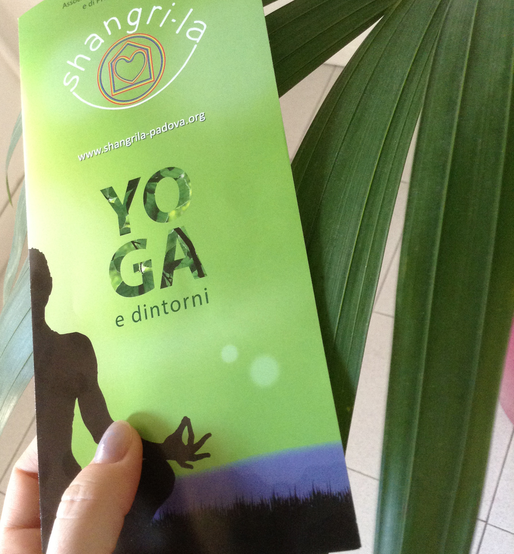 Shangri-la - leaflet